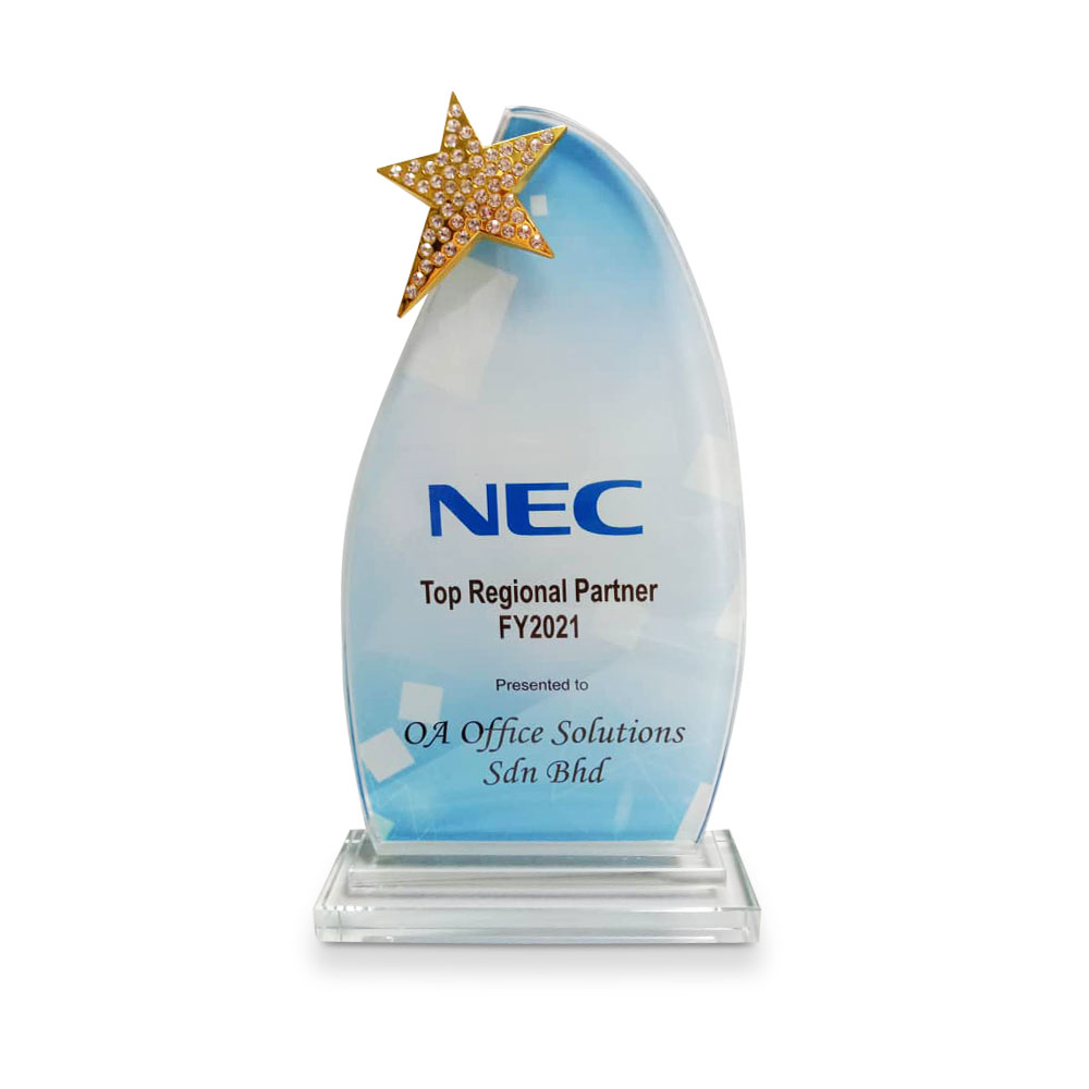 NEC Top Regional Partner (2021)